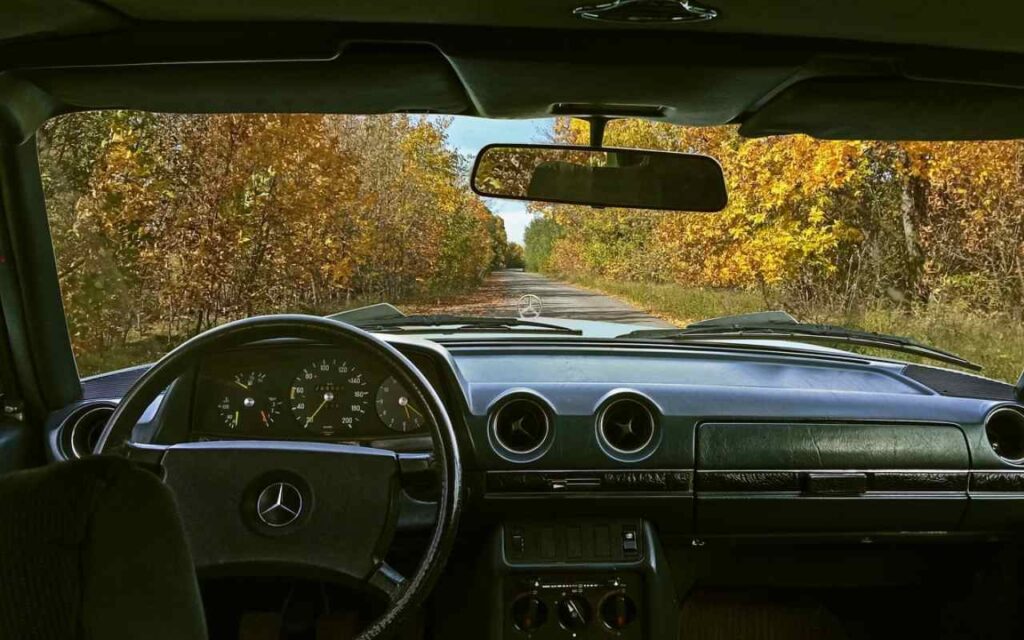 Mercedes na putu oko kog je šuma